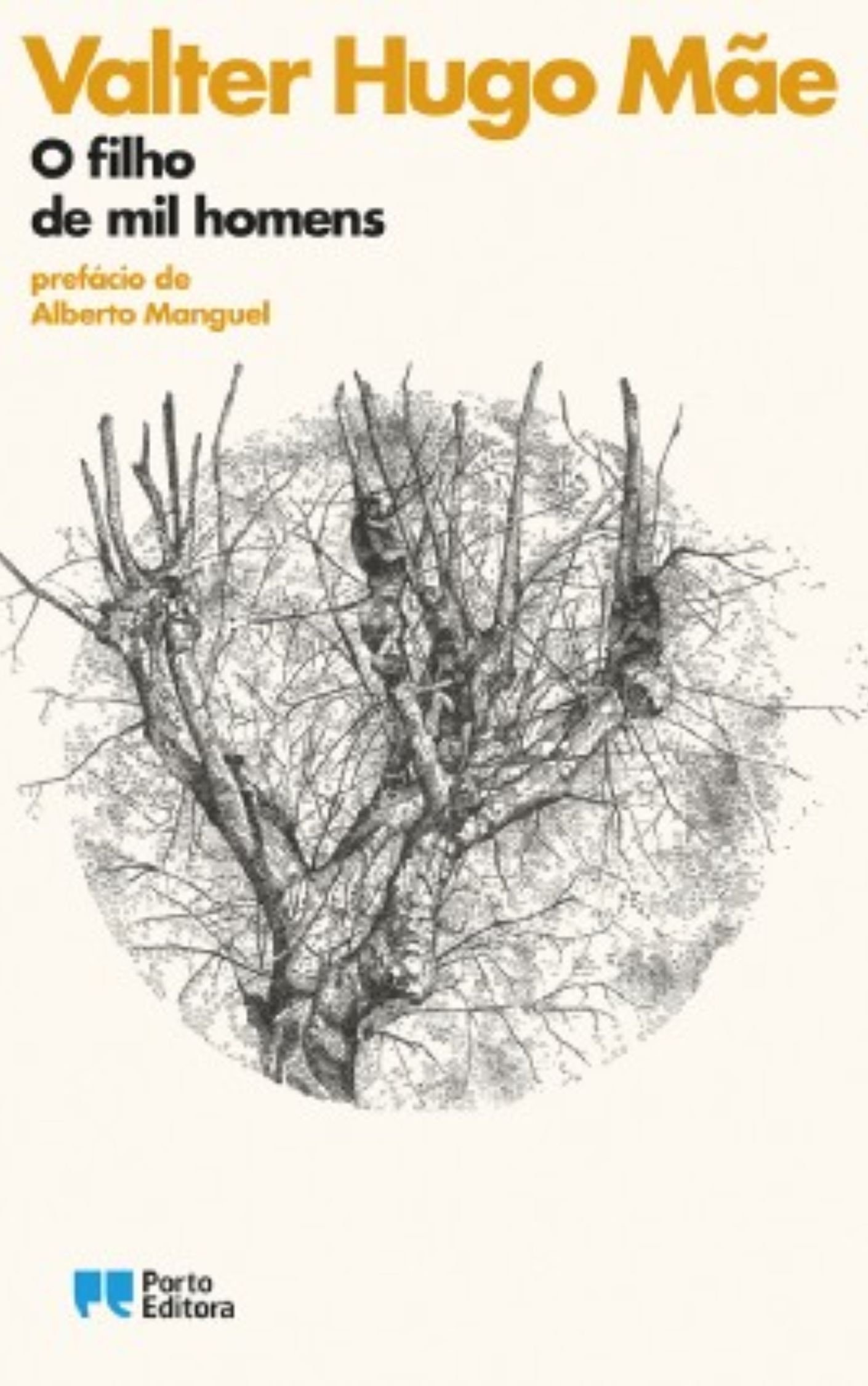 O Filho de Mil Homens - capa do livro