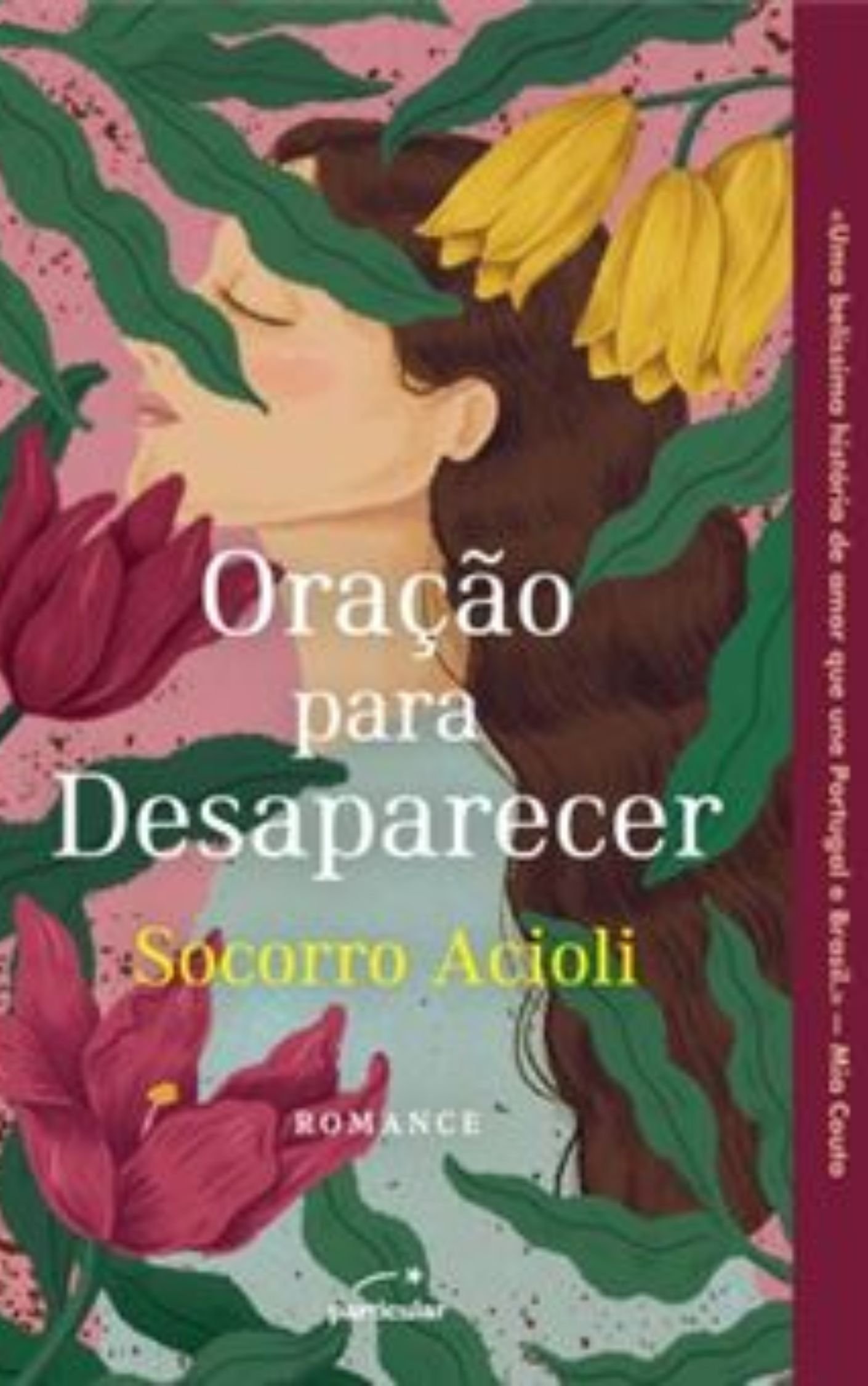 Oração para Desaparecer - capa do livro